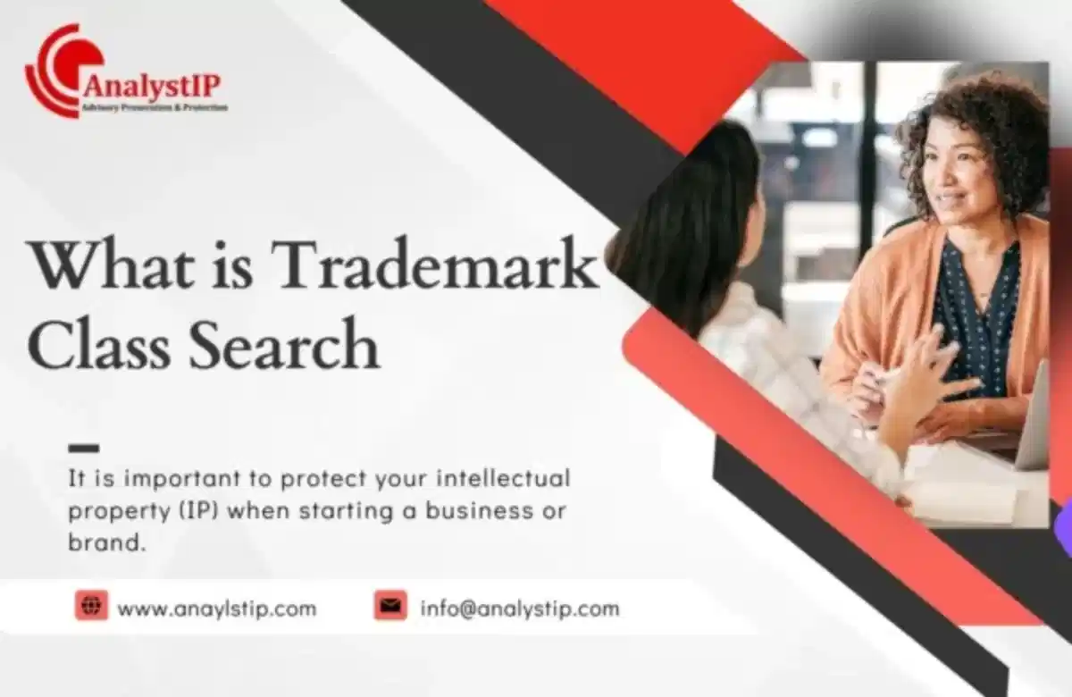 Trademark class search, importance of trademark class search, trademark class for your business