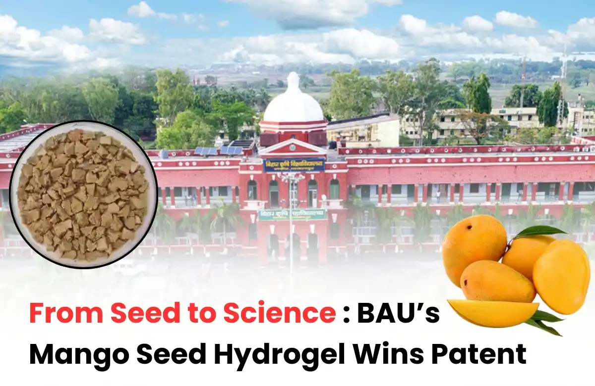 Mango Seed Hydrogel, BAU Mango Seed Hydrogel Patent, BAU Mango Seed