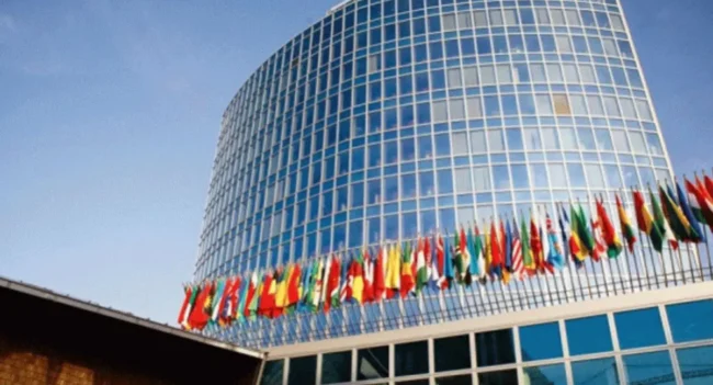 wipo latest news update, wipo news, wipo announcement