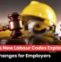 India New Labour Codes 2025, Labour Code Compliance for Employers, New Labour Codes Key Changes.