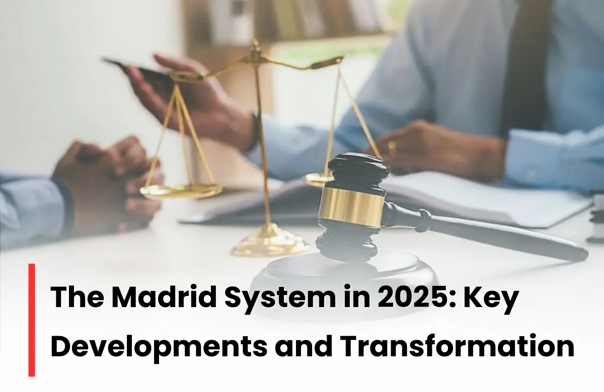 WIPO Madrid System 2025 review, WIPO Madrid System review