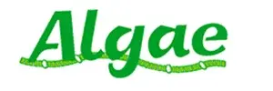 Algae international, Algae International Logo, Algae International Images