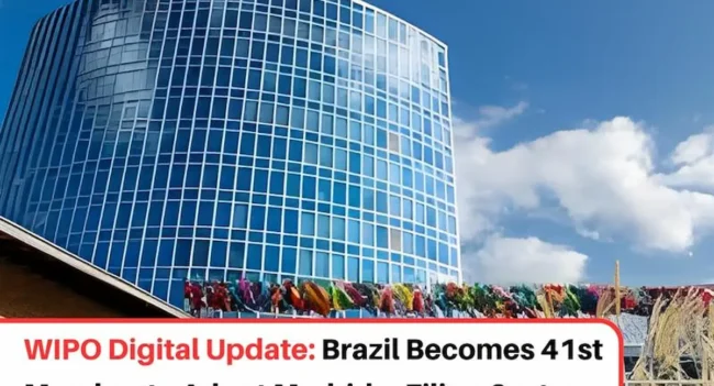 Madrid e-Filing Brazil, Madrid e-Filing in Brazil, Madrid e-Filing system in Brazil