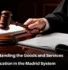 Madrid System Goods and Services Classification, Madrid System Classification of Goods and Services, Madrid System Classification