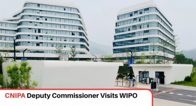 CNIPA Deputy Commissioner, CNIPA WIPO and EUIPO Meeting